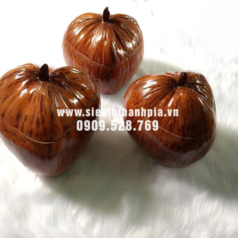 Vỏ bình giữ ấm trái dừa