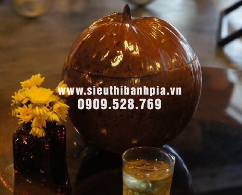 Vỏ bình giữ ấm trái dừa