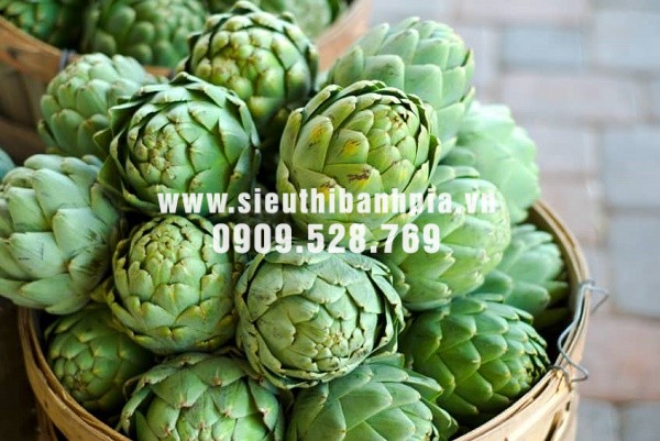 Bông atiso sấy khô